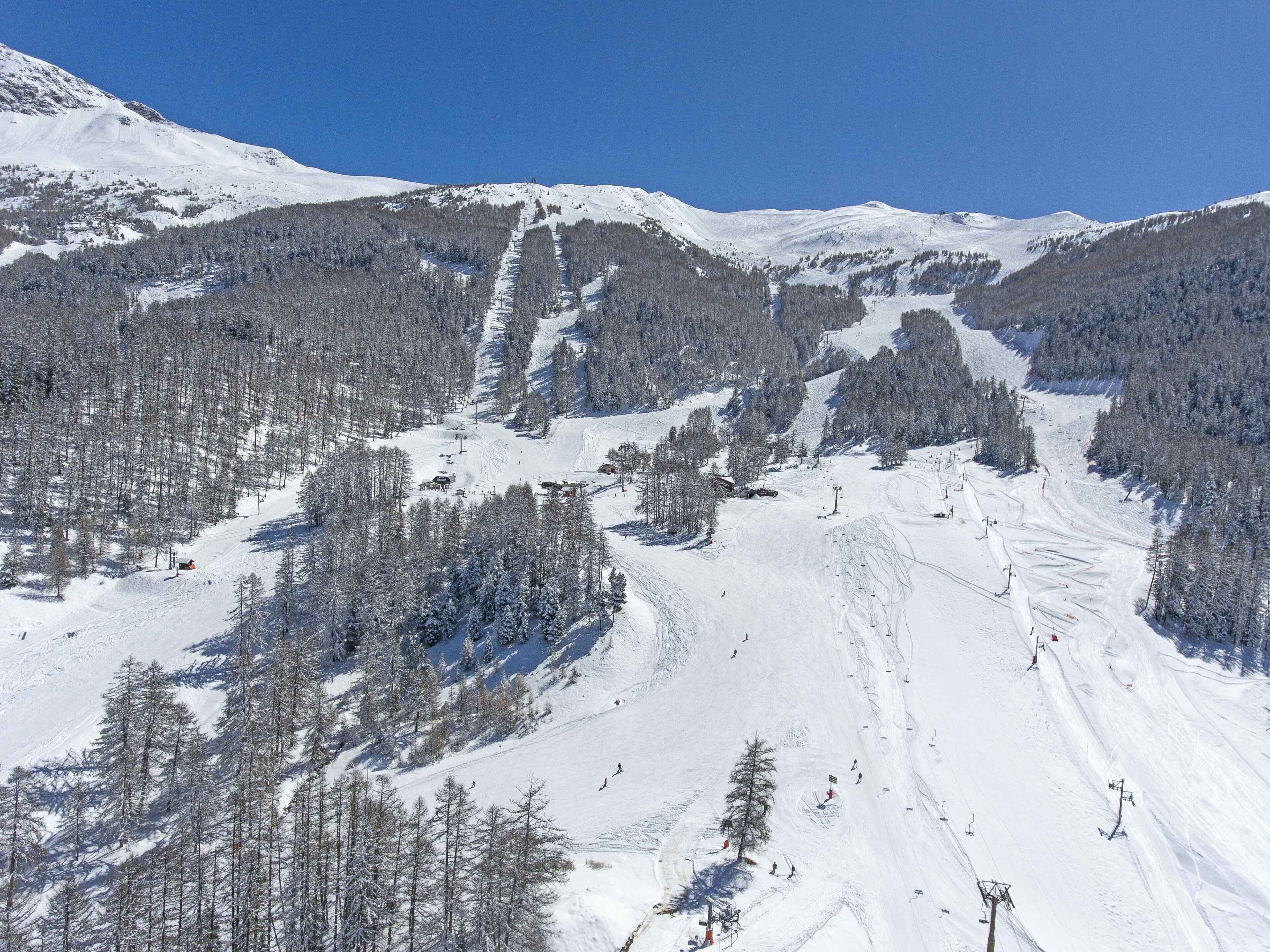 Een besneeuwd berglandschap met skipistes, bomen en een heldere lucht.