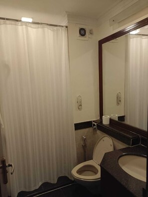 Habitación Deluxe con 1 cama doble o 2 individuales | Baño | Toallas, champú y papel higiénico