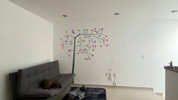 TV connectée, livres, médiathèque, chaîne hi-fi