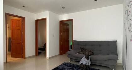 MillenniumIII - Bed/Matrimonial - Shared Bathroom and/or SofaBed - PET Friendly