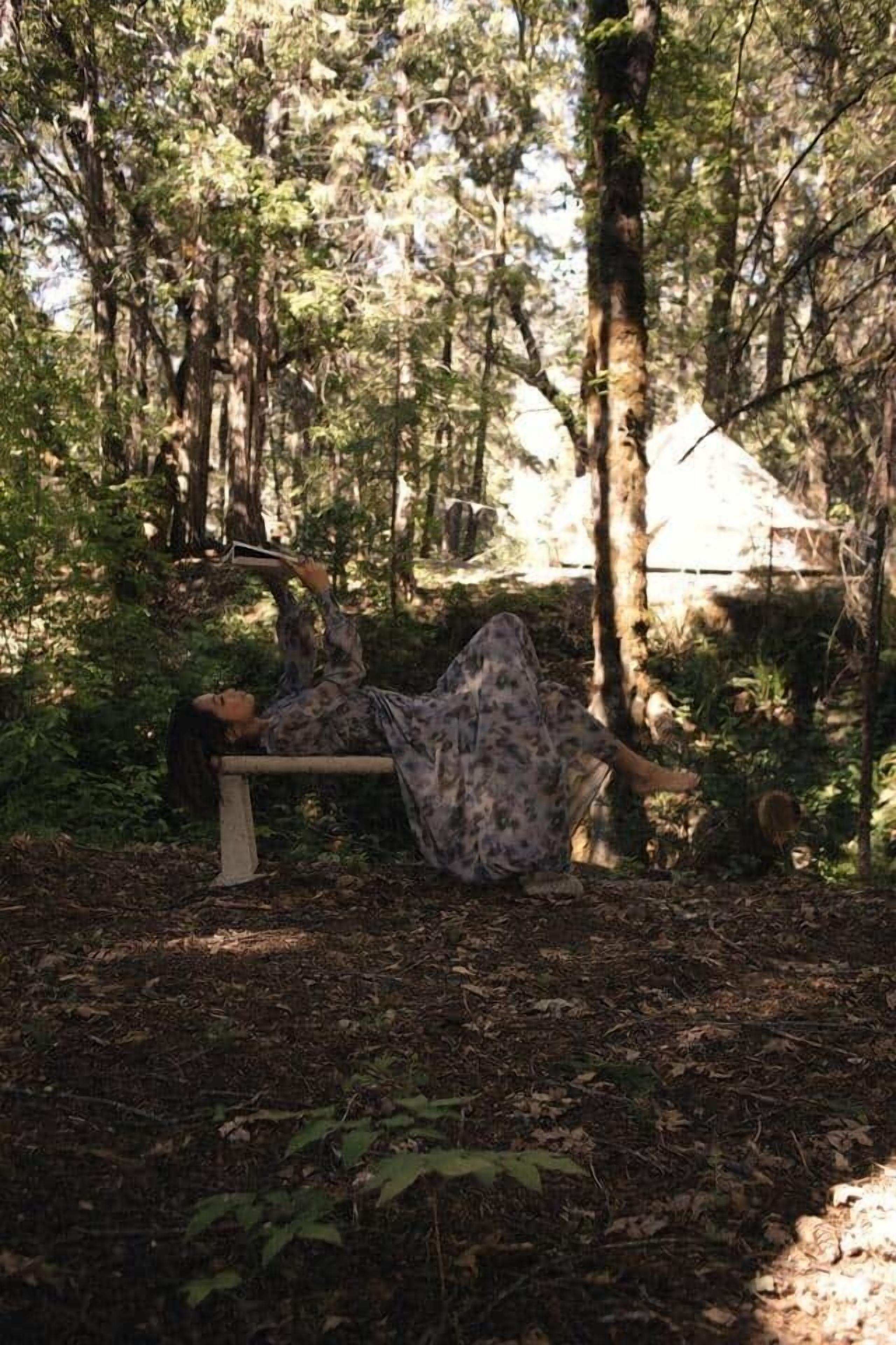 A bench in a forested area with dense trees and sunlight filtering through.