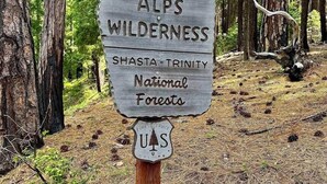 A wooden sign in a forested area with the text "TRINITY ALPS WILDERNESS" and "SHASTA - TRINITY National Forests" along with a U.S. Forest Service emblem. - Emerson Camp, Private Glamping Radio Ranch (Tub) (Burnt Ranch)