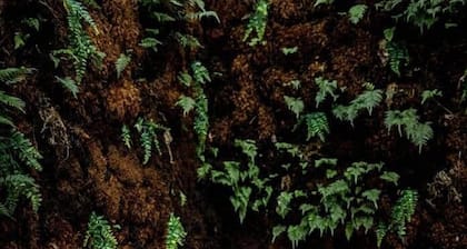 Emerson Camp, Private Glamping Radio Ranch (Tub)