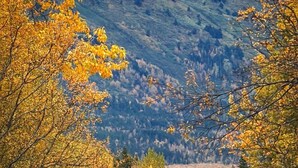 A road with a speed limit sign of 35, surrounded by autumn foliage and a mountain in the background. - Resurrection Campsite #2 (Hope)
