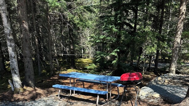 A picnic area with a metal fire pit, a blue picnic table, and a red grill. - Resurrection Campsite #2 (Hope)