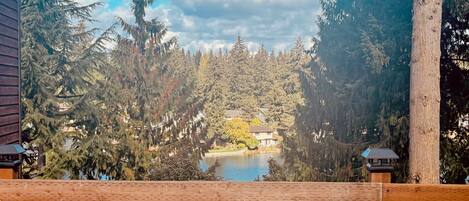 Terrain de l’hébergement