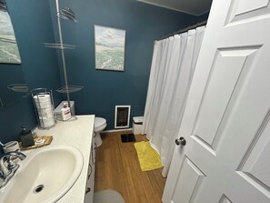 Bathroom - Cozy 2-bedroom house in Ola with cool AC, in ground pool and hot tub (Ola)
