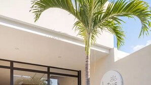 Entrada de um prédio moderno com uma palmeira, uma placa com o texto 'Lotus Apartamentos' e um lance de escadas que leva à entrada.