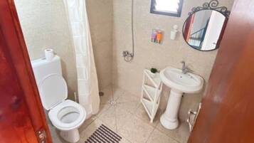 Asciugamani, carta igienica