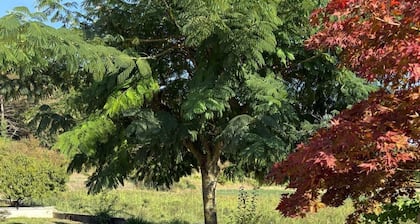 The den of stillness