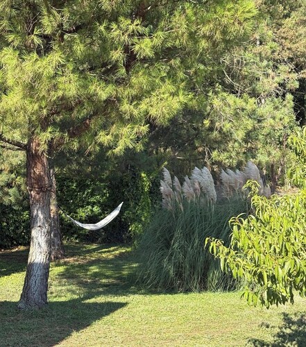 The den of stillness