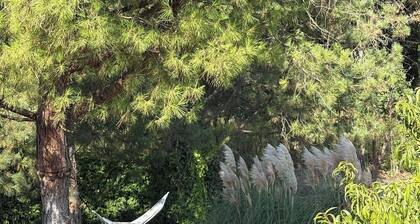 The den of stillness