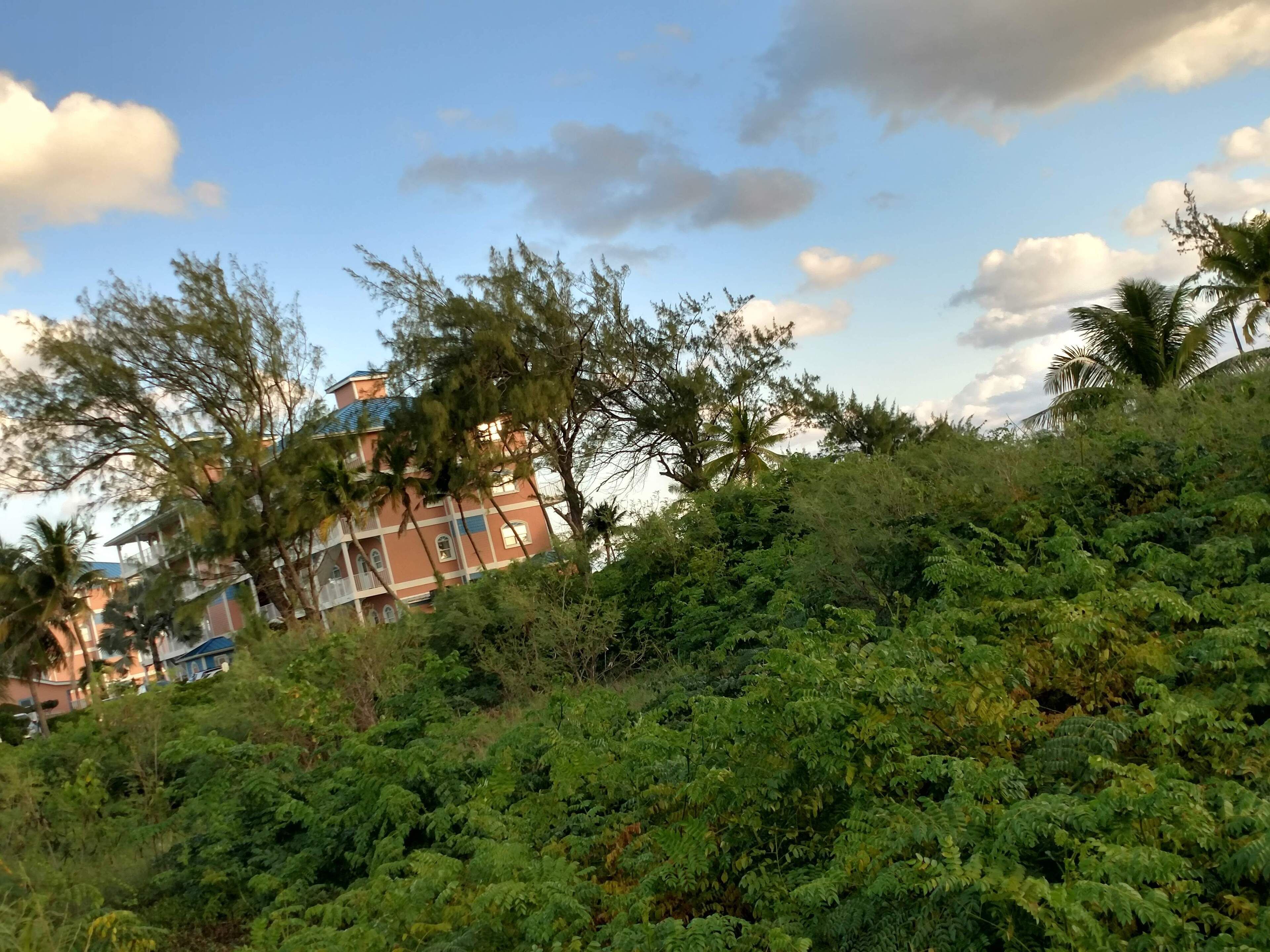 منوع