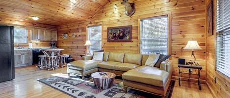 TV, fireplace, books