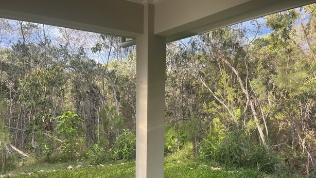 Un espacio al aire libre techado con vistas a un campo de césped y árboles frondosos.
