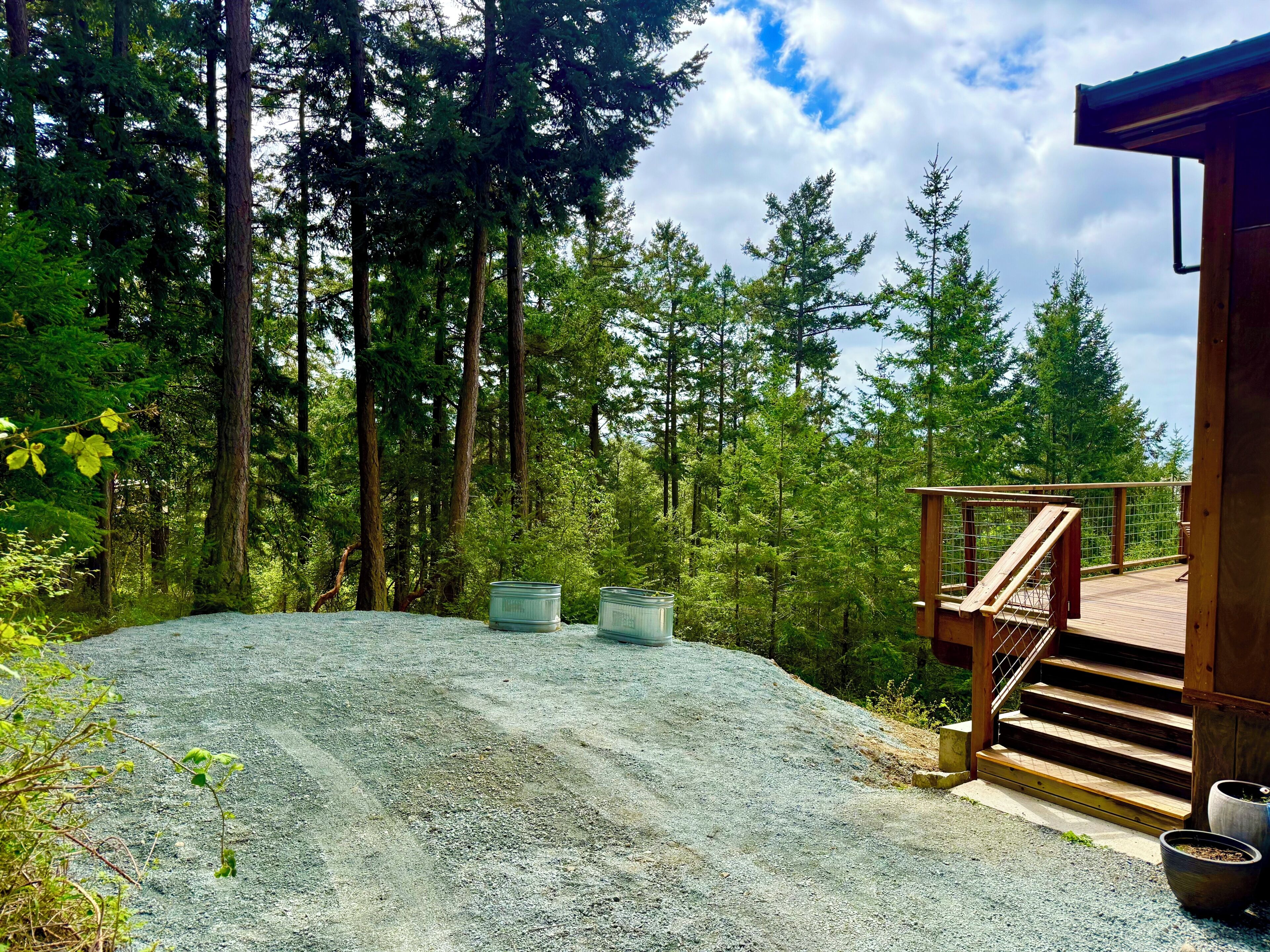 Ein bewaldetes Gebiet mit einem Schotterweg, der zu einer Holzhütte mit Treppe führt.