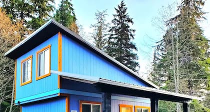 Cozy Spacious Cabin in Tiny House Village! 10A