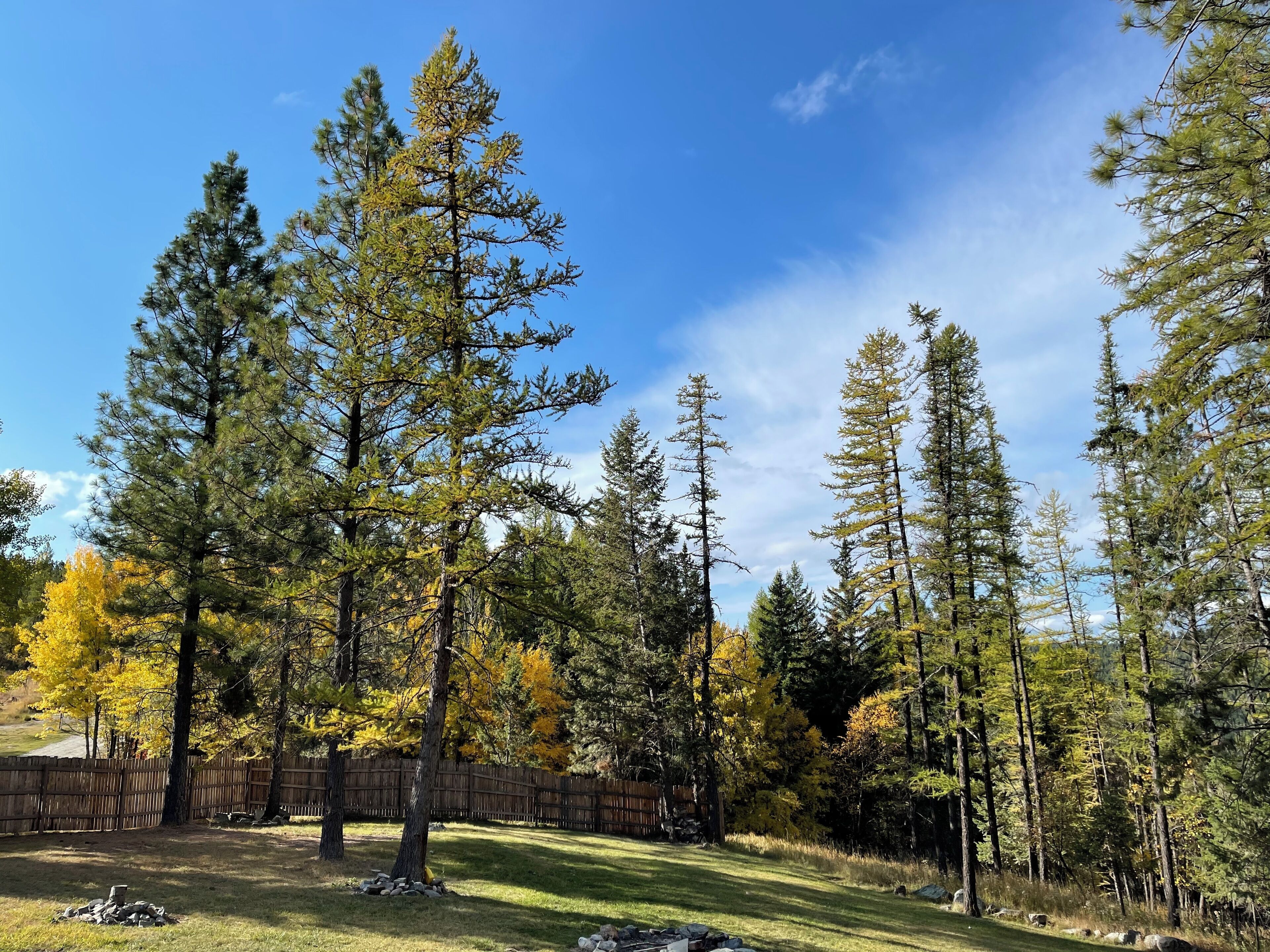 Àrea exterior de l'allotjament