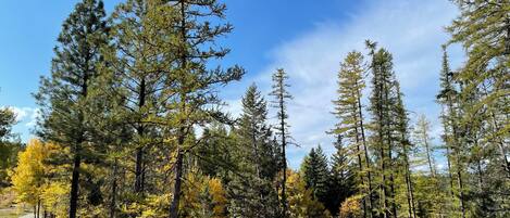 Àrea exterior de l'allotjament