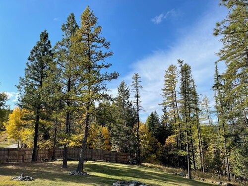 Cozy Camper Retreat In Charming Kalispell 1 Bed + Bunks Full Bath & Kitchen