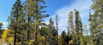 Cozy Camper Retreat In Charming Kalispell 1 Bed + Bunks Full Bath & Kitchen