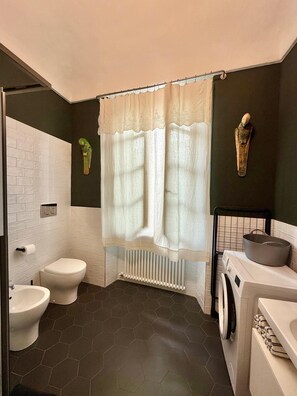 Regadera, secadora de cabello, bidet, toallas 