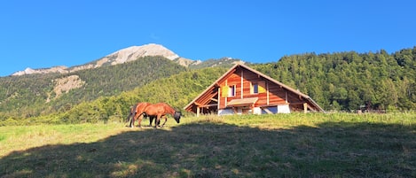 Una cabaña de madera con techo inclinado, rodeada por un paisaje montañoso cubierto de bosque.