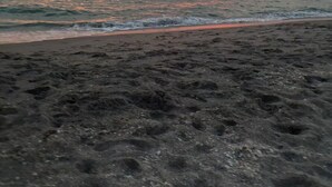 A beach with a sunset over the ocean. - Path to Paradise. (Englewood)