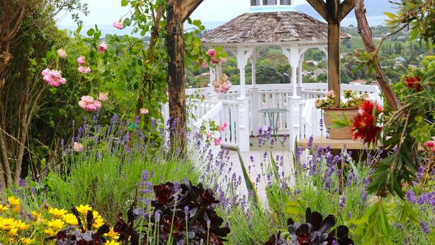 A gazebo surrounded by lush greenery and flowers. - Cherry Villa (Paraparaumu)