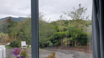 A window with a view of a garden area, including a gravel path and various plants.