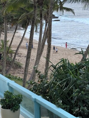 On the beach - Peace Beach Front View - 204 (Dorado)