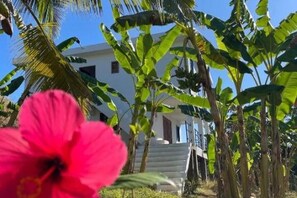 Property grounds - LE PETIT RELAIS 2 ANDILANA (Madagascar)