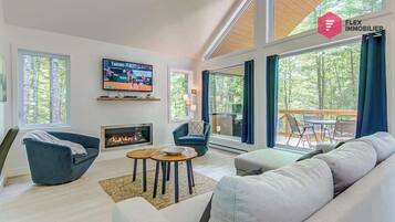 Télévision, cheminée, jeux vidéo, espaces bureaux