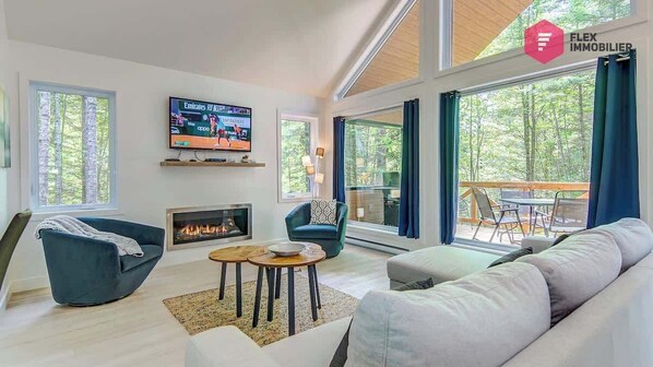 TV, fireplace, video games, offices