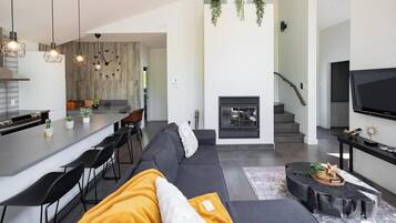 Televisión, chimenea y videojuegos