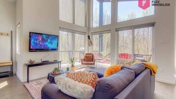 Televisión, chimenea y videojuegos