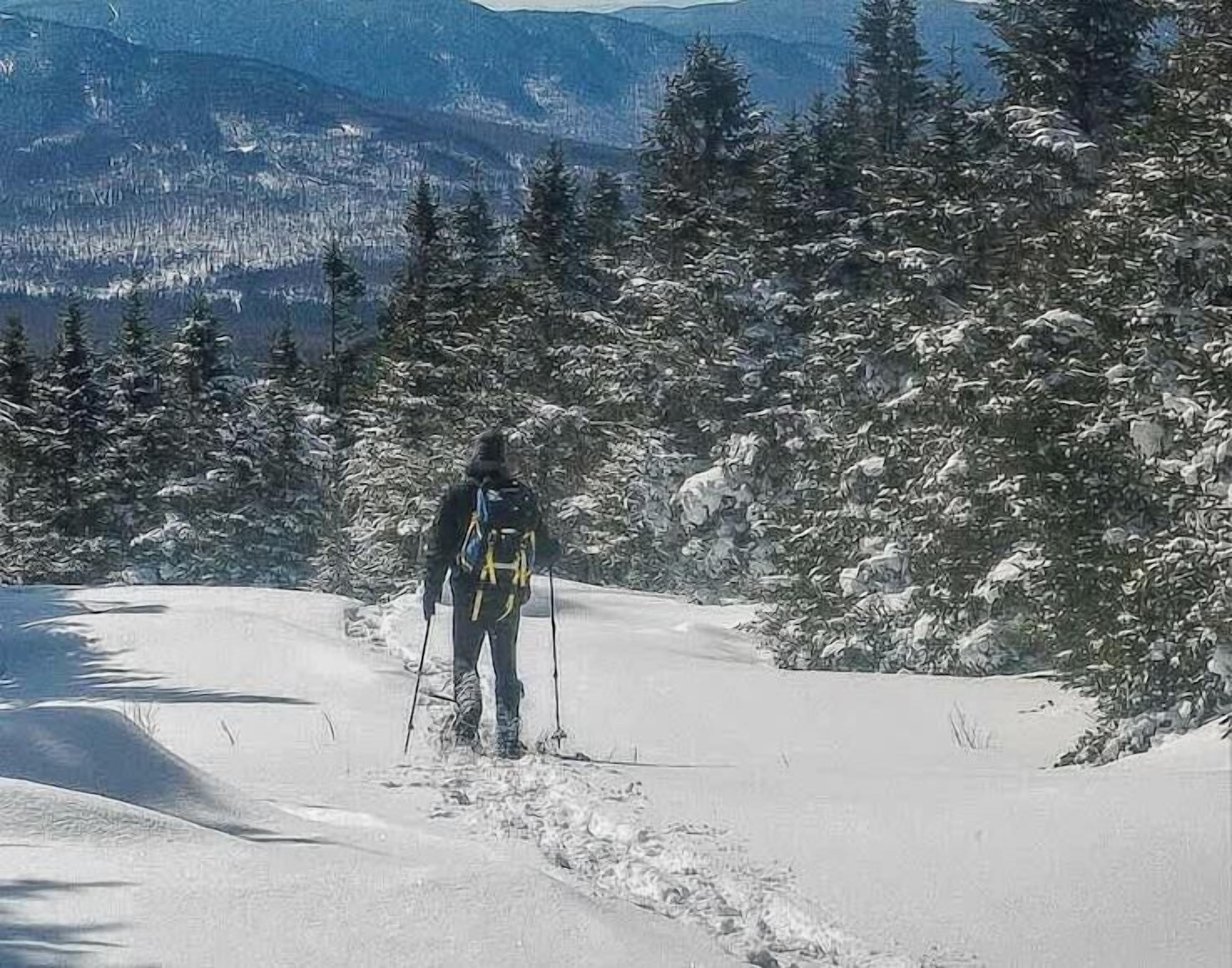 Iemand wandelt door een besneeuwd bos, met bergen op de achtergrond.