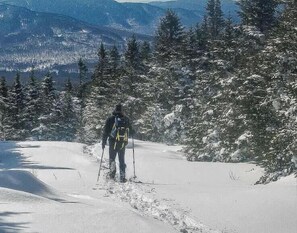 Una persona caminando en un bosque nevado, con montañas al fondo.