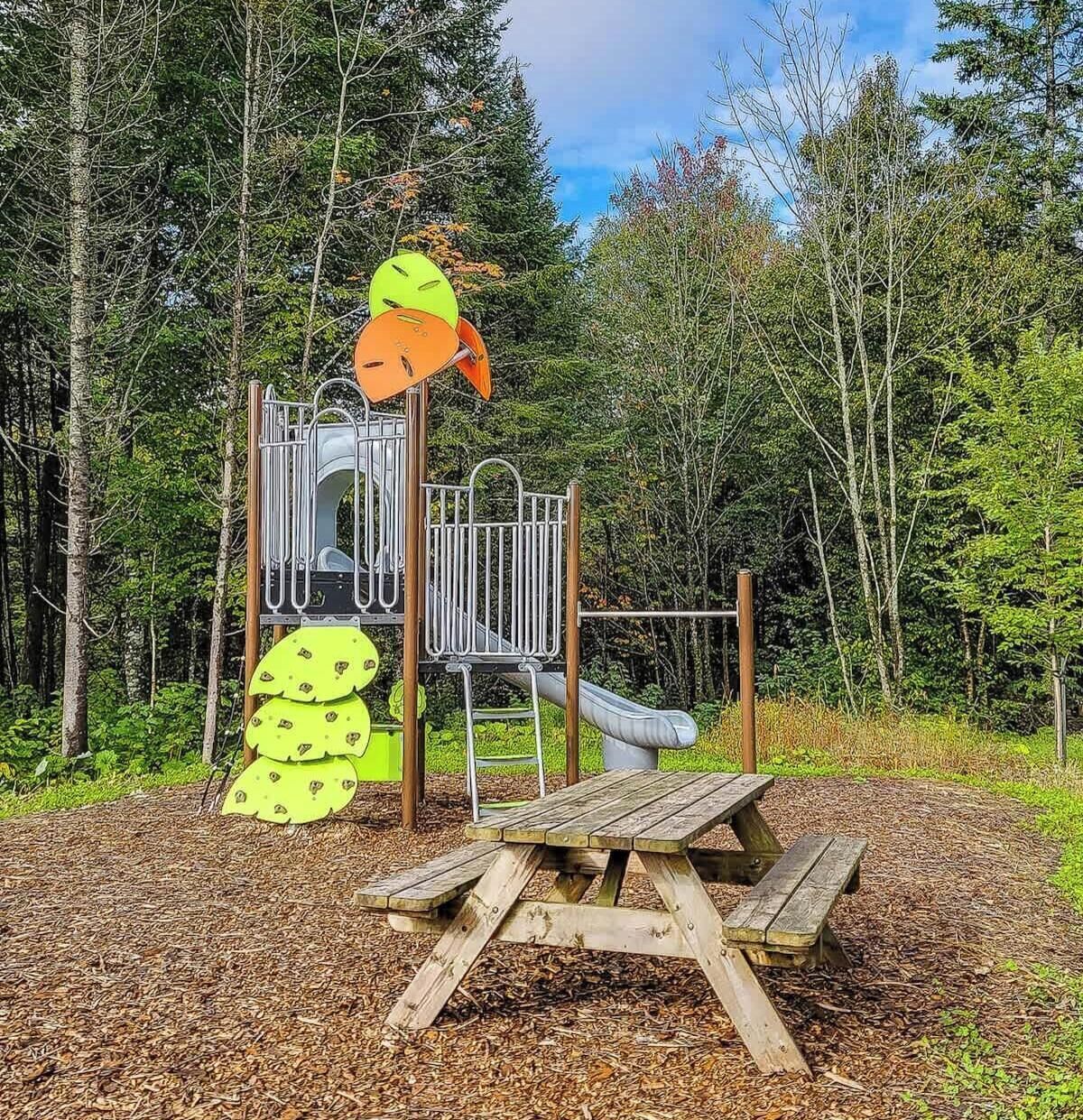 Une aire de jeux avec un toboggan, une structure d’escalade et une table de pique-nique, le tout entouré d’arbres.