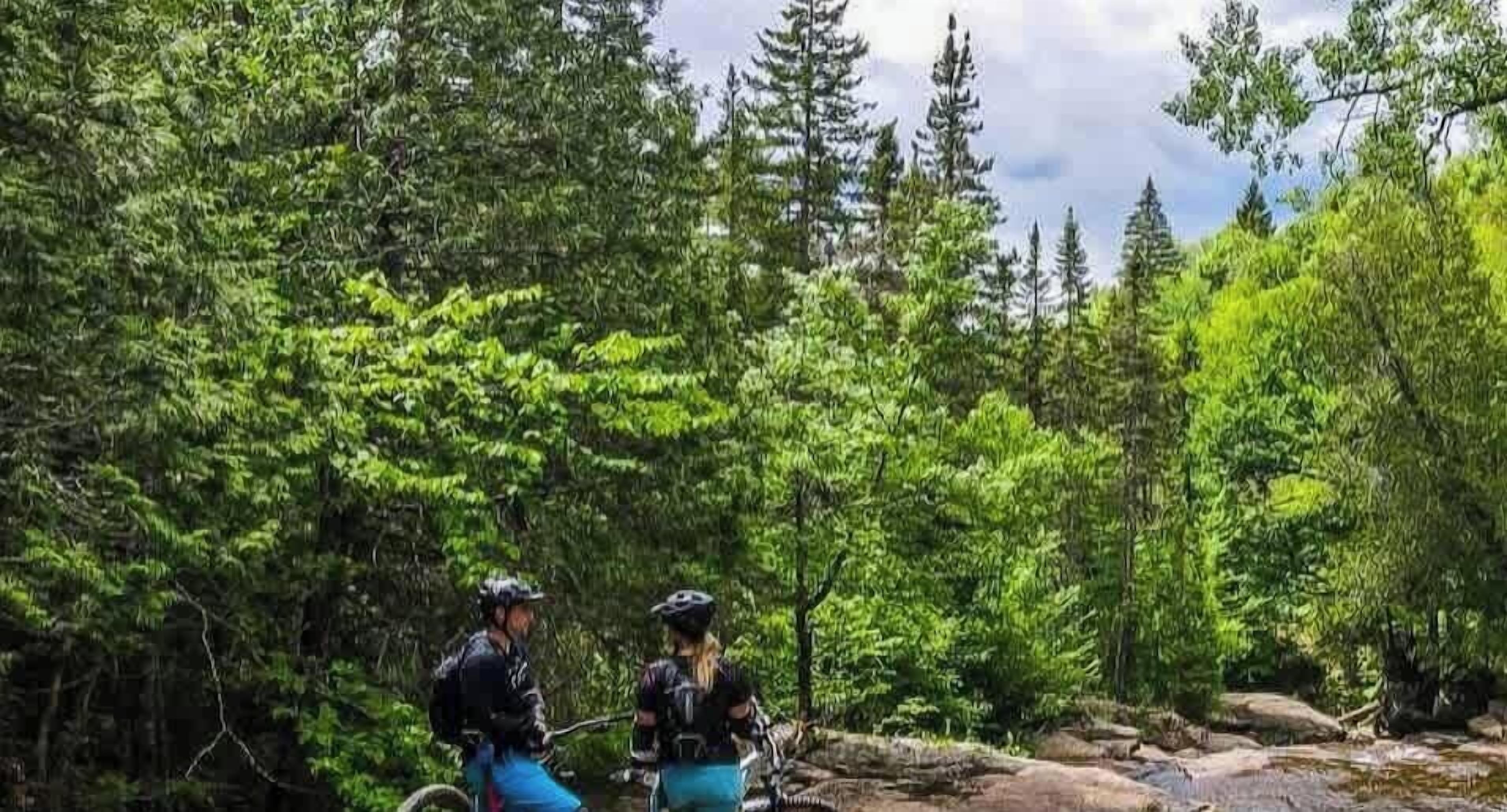 Due persone in sella a una mountain bike su un sentiero immerso in una fitta foresta.