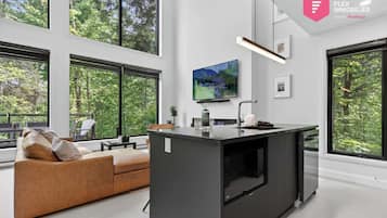 Smart-TV, Kamin