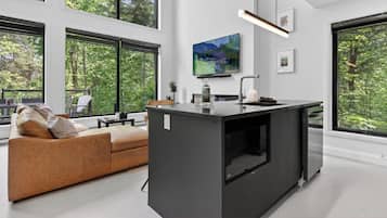 Smart-TV, Kamin