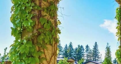 The 3 Jewels of Lake Michaud - Rimouski-Matane