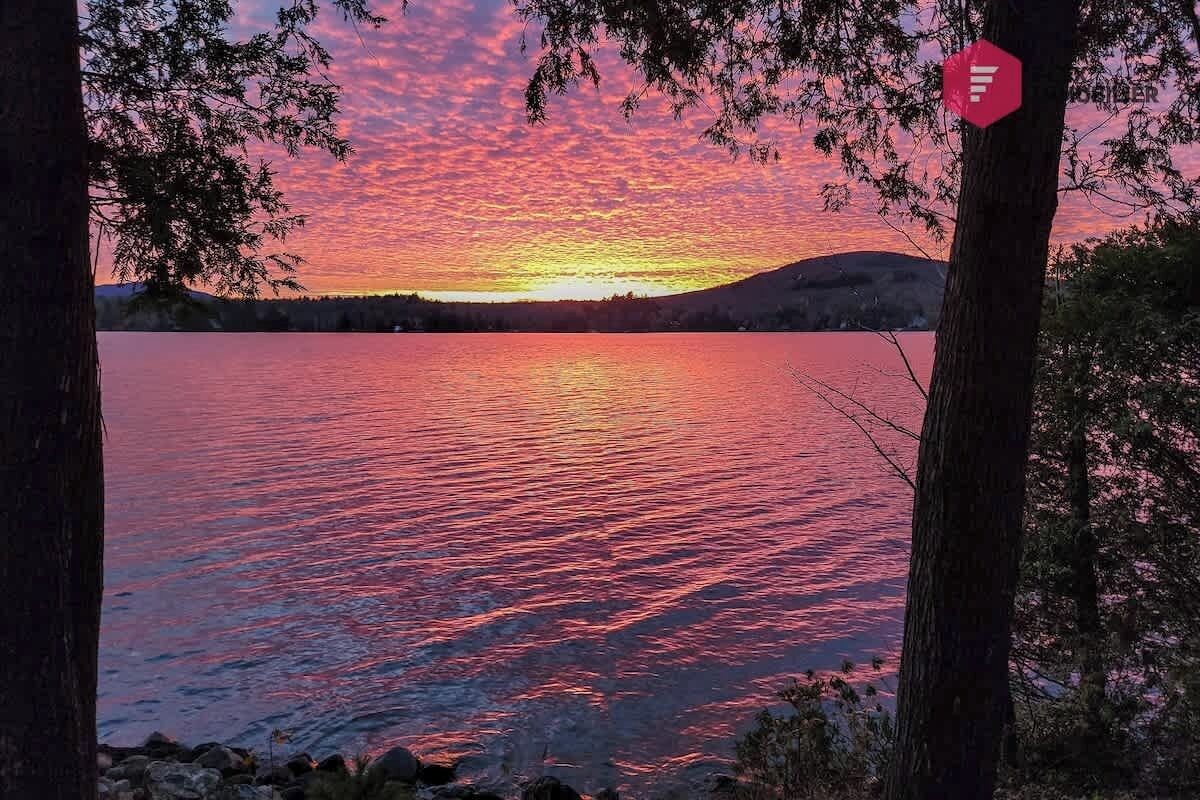 A sunset over a lake with trees framing the view.