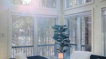 Smart TV, fireplace, video games
