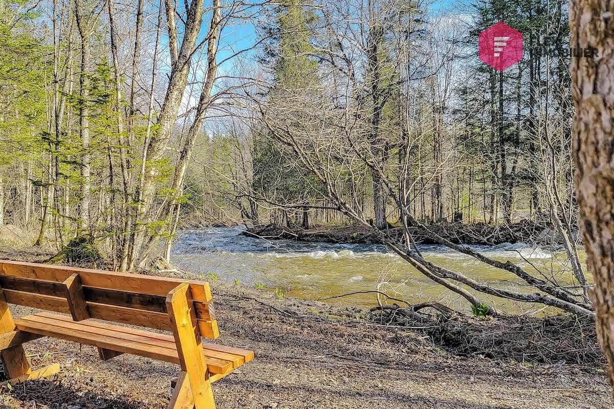 Un banco de madera frente a un río en un área boscosa.