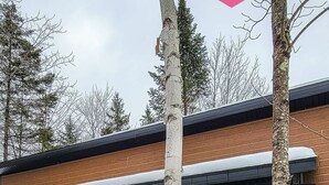 A modern building with two large windows and a wooden deck leading to a hot tub. - The Palm Tree of Portneuf - Private SPA Pool Trail (Pont-Rouge)