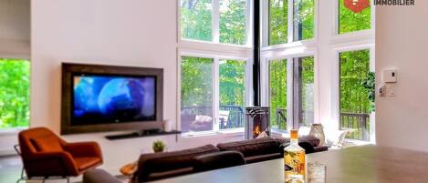 Televisio, takka, työhuone