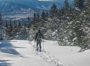 Une personne fait de la randonnée dans une forêt enneigée, avec des montagnes en arrière-plan.