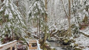 A wooden bench in a snowy forest with a stream. - The Pilgrim - Rustic Ecoresponsible In the wild (Notre-Dame-des-Bois)